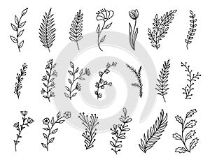 Wreath Floral Branch in Hand Drawn Style Thin Line Icon Set. Vector