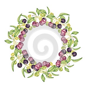 Wreath frame blank maqui berries