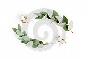 Wreath frame made of branches eucalyptus, leaves and cotton isolated on white background. flat lay, top view