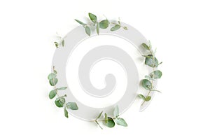 Wreath frame made of branches eucalyptus and leaves isolated on white background. Flat lay. Top view.