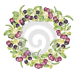 Wreath frame with maqui berries
