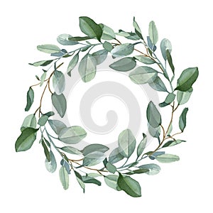 Wreath of green eucalypt leaves isolated on white background