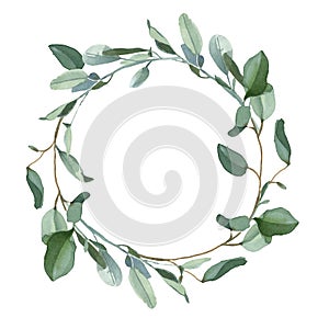 Wreath of green eucalypt leaves isolated on white background