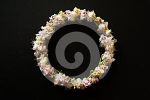 A wreath of horse chestnut flowers Aesculus hippocastanum close-up on a black background.