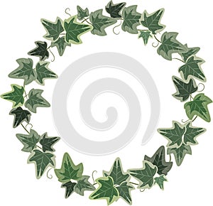 A wreath of Ivy