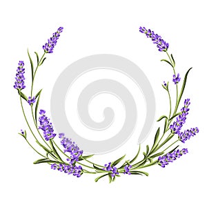 Wreath of lavender, provence region of france. The frame of bouquet for perfume label. Bunch of lavender.