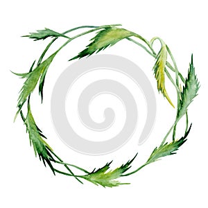 Wreath of leaves and flowers. Watercolor hand drawn illustration. Object isolated on white background. Element for cards, holidays