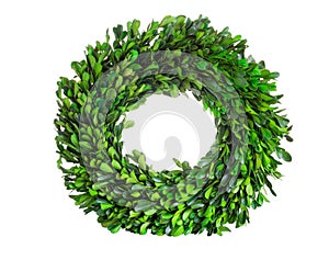 Wreath made of boxwood leaf wreath on white background