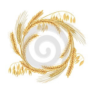 Wreath made of Wheat, barley, oat and rye spikes. Four cereals grains with ears, and free space