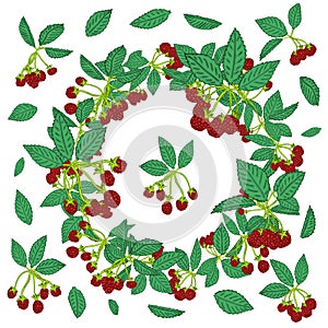 Wreath pattern of blackberry or raspberry. Berry background for textiles, wallpaper, sets of drawings, covers, surface