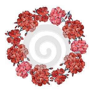 Wreath with red geranium flowers. Hand drawn watercolor illustration isolated on white background.