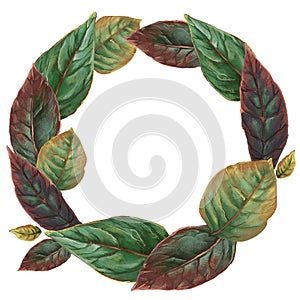 Wreath of red and green leaves isolated on white background