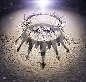 Wreath Of Thorns With King Crown Shadow photo