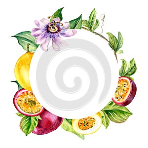 Wreath of tropical fruits and flower watercolor illustration isolated on white background.