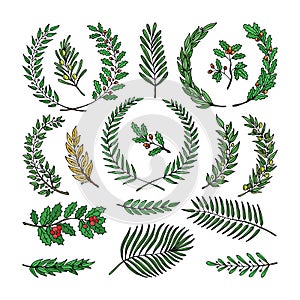 Wreath vector tree branch herald wreathed decoration with wreathen olive leaves and wreathed flaurel decor illustration