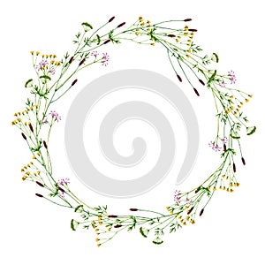 Wreath with watercolor wildflowers. Hand drawn illustration is isolated on white. Round frame