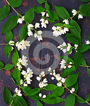 A wreath of white Jasmine flowers with green leaves