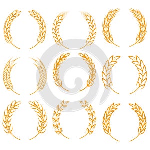 Wreaths of ears of wheat, rye, rice. Design elements for the border. Cereal crops