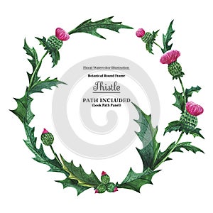 Wreaths from thistle for decoration