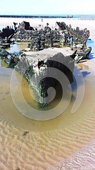 Wreck of the English trawler Lord Gray stranded on the beach of Tardinghen on the banks of the Channel