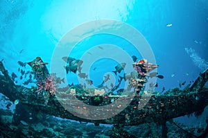 Wreck and fishes swim in Gili, Lombok, Nusa Tenggara Barat, Indonesia underwater photo