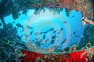 Wreck and fishes swim in Gili, Lombok, Nusa Tenggara Barat, Indonesia underwater photo