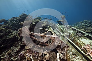 Wreck freighter Kormoran - sank in 1984 Tiran