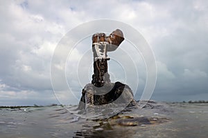 The wreck of a light aircraft in shallow water off the coast of South Bimini