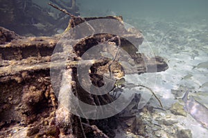 The wreck of a light aircraft in shallow water off the coast of South Bimini