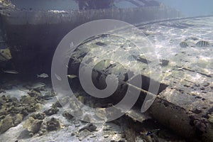 The wreck of a light aircraft in shallow water off the coast of South Bimini