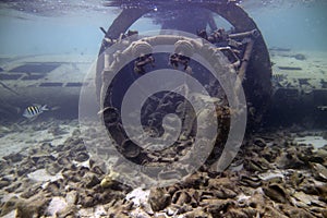 The wreck of a light aircraft in shallow water off the coast of South Bimini