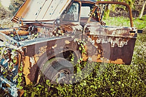 The wreck of an old, yellow truck was ravaged, covered with weeds