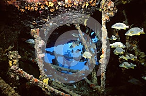 Wreck of the Rhone photo