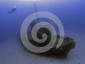 The wreck of the tugboat Rozi