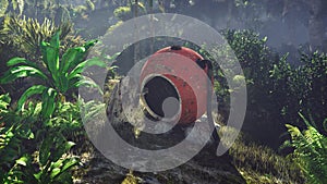 Wrecked space capsule lies in the jungle in the middle of palm trees and tropical vegetation. 3D Rendering photo
