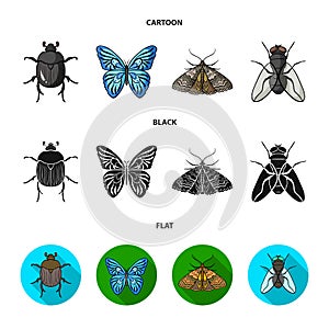 Wrecker, parasite, nature, butterfly .Insects set collection icons in cartoon,black,flat style vector symbol stock