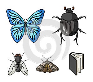 Wrecker, parasite, nature, butterfly .Insects set collection icons in cartoon style vector symbol stock illustration web