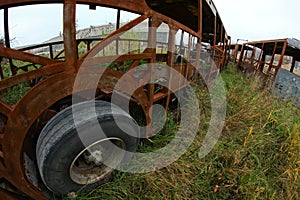 The wrecks of the buses standing on the vehicle cemetery.