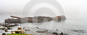 Wrecks of old whaling boats in Grytviken South Georgia in fog