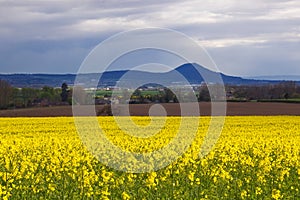 The Wrekin view