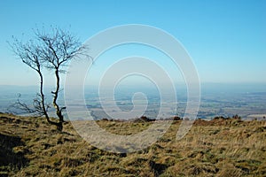 Wrekin view