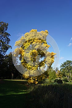 Wrest Park in the sun