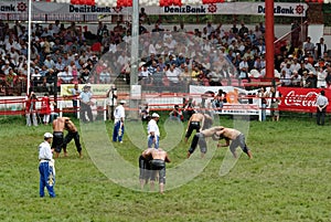 Wrestlers compet in the stadium