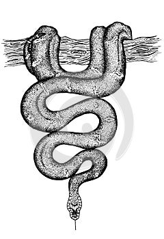 Wriggle snake hanging on a tree ink hand drawing illustration photo