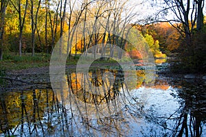 Wright Woods Water Reflections in Autumnal Colors