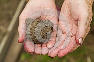 The wrinkled hands of an elderly woman hold a lump of earth