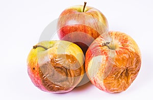 Rotten apple isolated on a white background.