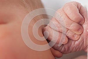 Wrinkly Newborn Baby Hand photo
