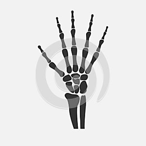 Wrist hands bones