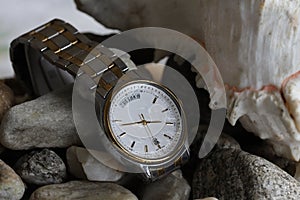 Wrist watch photo as a product